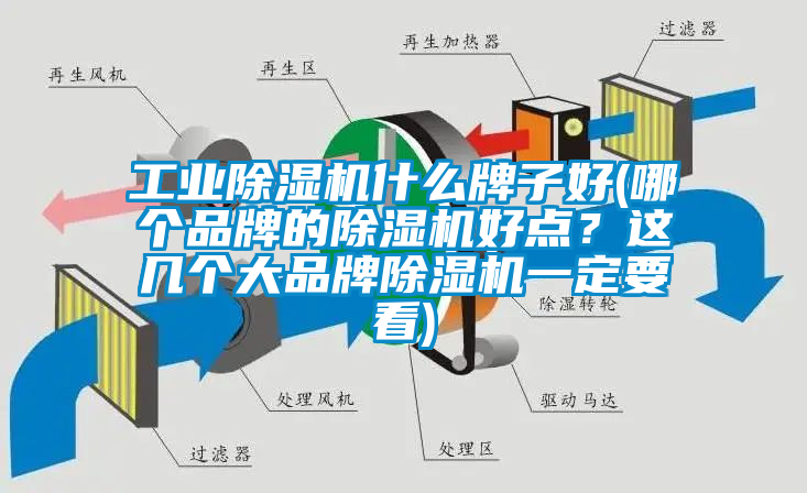 工業(yè)除濕機(jī)什么牌子好(哪個品牌的除濕機(jī)好點(diǎn)？這幾個大品牌除濕機(jī)一定要看)