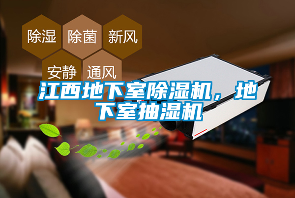 江西地下室除濕機(jī)，地下室抽濕機(jī)
