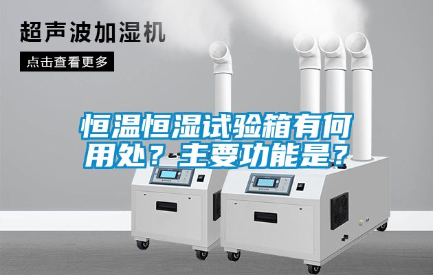 恒溫恒濕試驗(yàn)箱有何用處？主要功能是？