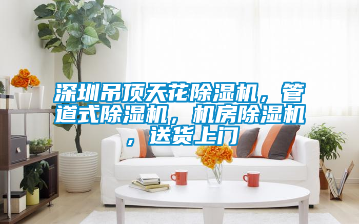 深圳吊頂天花除濕機(jī)，管道式除濕機(jī)，機(jī)房除濕機(jī)，送貨上門