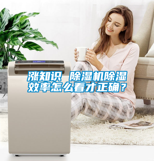 漲知識 除濕機除濕效率怎么看才正確？