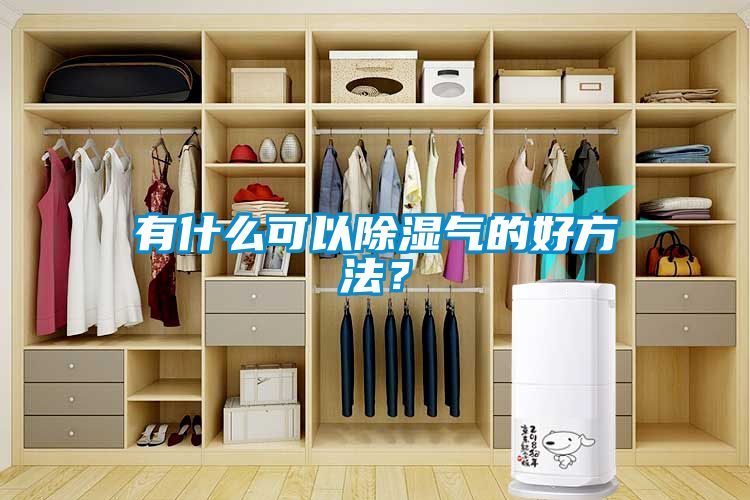 有什么可以除濕氣的好方法？