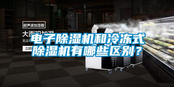 電子除濕機(jī)和冷凍式除濕機(jī)有哪些區(qū)別？