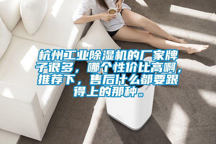 杭州工業除濕機的廠家牌子很多，哪個性價比高啊，推薦下，售后什么都要跟得上的那種。