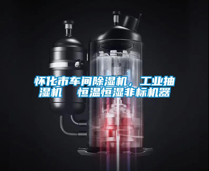 懷化市車(chē)間除濕機(jī)，工業(yè)抽濕機(jī)  恒溫恒濕非標(biāo)機(jī)器