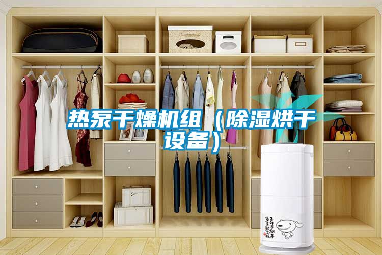 熱泵干燥機組（除濕烘干設備）
