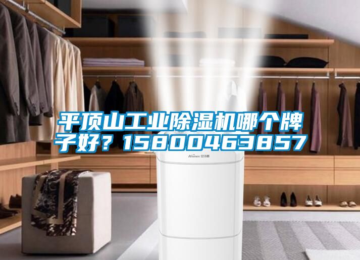 平頂山工業(yè)除濕機(jī)哪個(gè)牌子好？15800463857