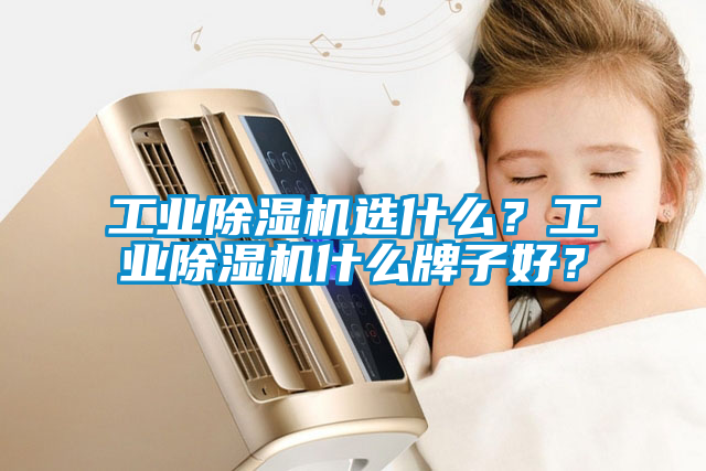 工業(yè)除濕機選什么？工業(yè)除濕機什么牌子好？