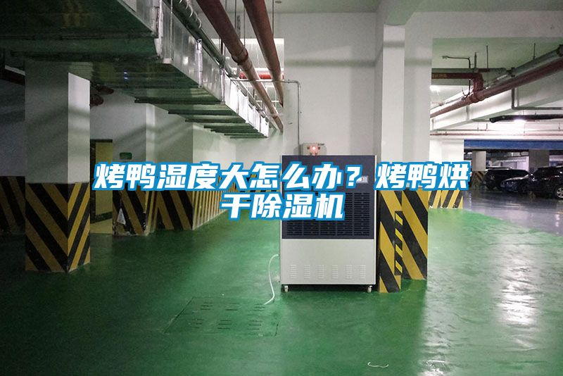 烤鴨濕度大怎么辦？烤鴨烘干除濕機