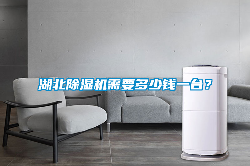 湖北除濕機需要多少錢一臺？