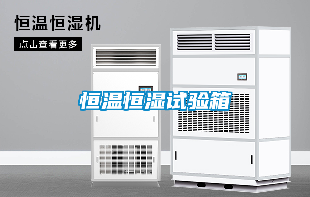 恒溫恒濕試驗(yàn)箱