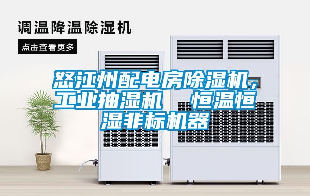 怒江州配電房除濕機，工業抽濕機  恒溫恒濕非標機器