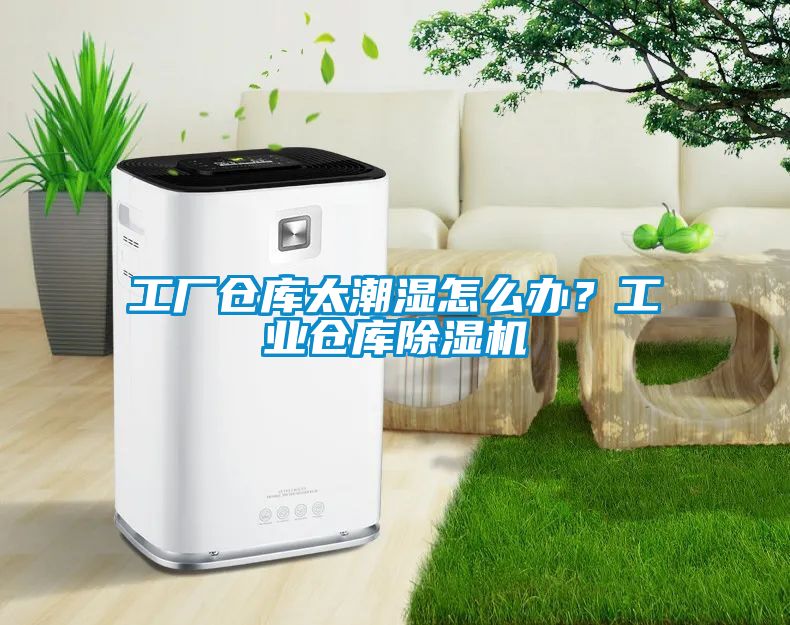 工廠倉(cāng)庫(kù)太潮濕怎么辦？工業(yè)倉(cāng)庫(kù)除濕機(jī)