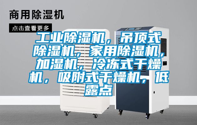 工業除濕機，吊頂式除濕機，家用除濕機，加濕機，冷凍式干燥機，吸附式干燥機，低露點
