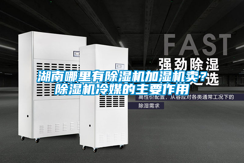 湖南哪里有除濕機(jī)加濕機(jī)賣？除濕機(jī)冷媒的主要作用
