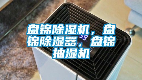 盤錦除濕機(jī)，盤錦除濕器，盤錦抽濕機(jī)