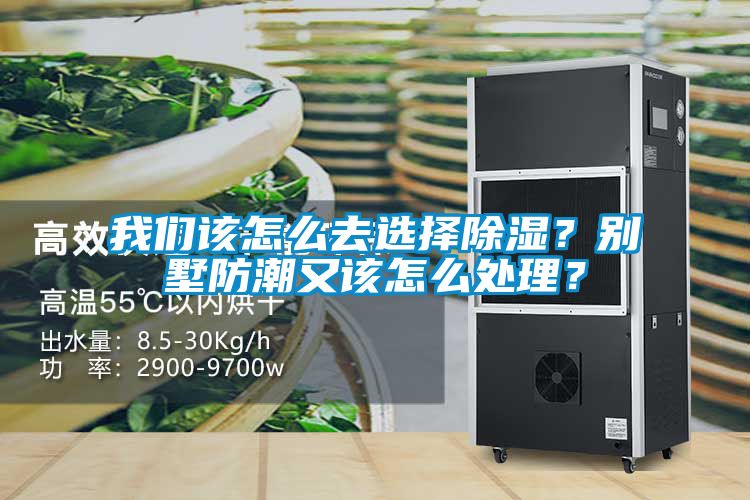 我們該怎么去選擇除濕？別墅防潮又該怎么處理？
