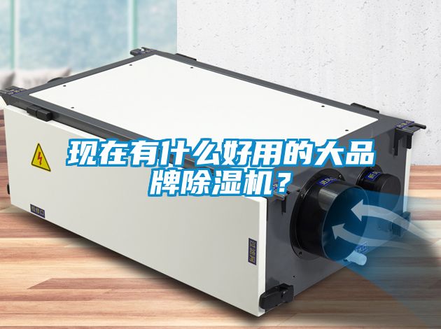 現在有什么好用的大品牌除濕機？
