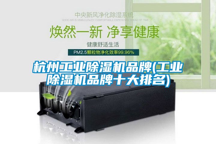 杭州工業除濕機品牌(工業除濕機品牌十大排名)