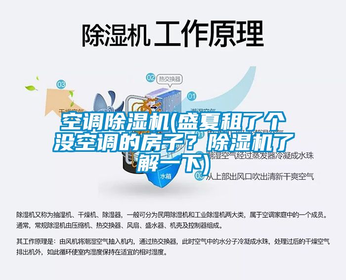 空調(diào)除濕機(盛夏租了個沒空調(diào)的房子？除濕機了解一下)