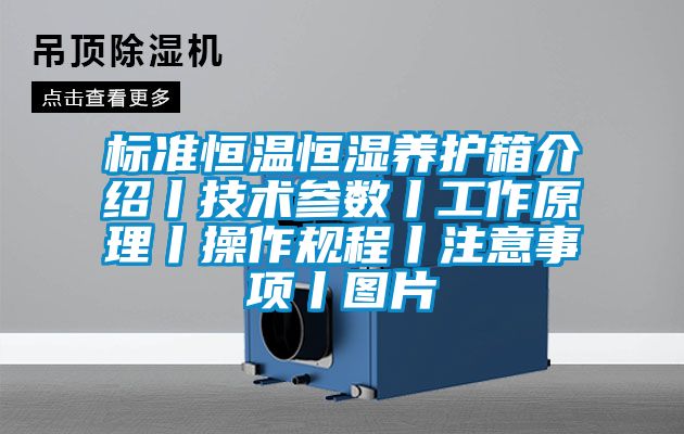 標準恒溫恒濕養(yǎng)護箱介紹丨技術參數(shù)丨工作原理丨操作規(guī)程丨注意事項丨圖片