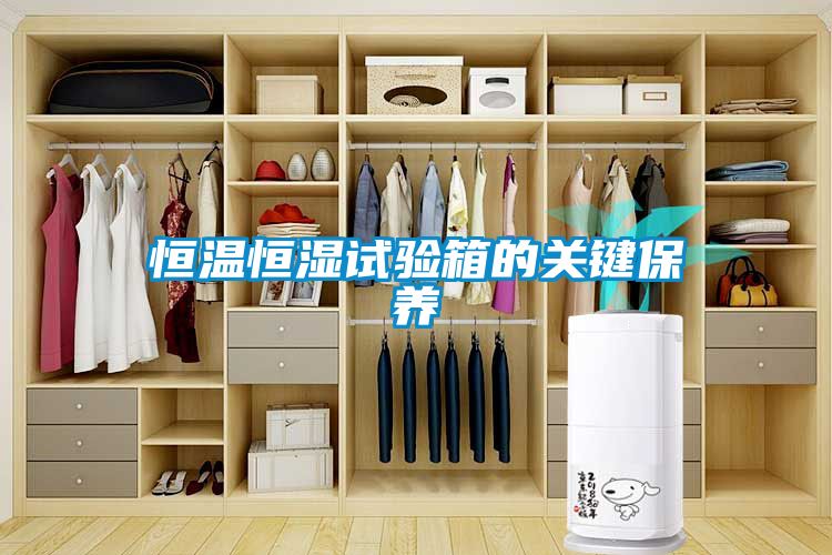 恒溫恒濕試驗箱的關鍵保養(yǎng)
