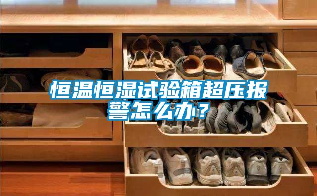 恒溫恒濕試驗箱超壓報警怎么辦？