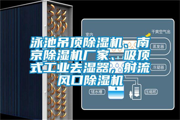 泳池吊頂除濕機(jī)、南京除濕機(jī)廠家、吸頂式工業(yè)去濕器，射流風(fēng)口除濕機(jī)