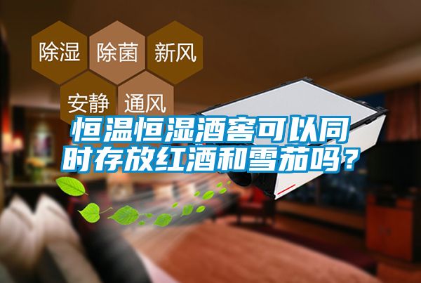 恒溫恒濕酒窖可以同時存放紅酒和雪茄嗎？