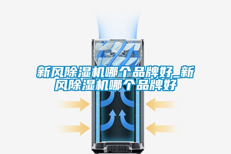 新風(fēng)除濕機(jī)哪個(gè)品牌好_新風(fēng)除濕機(jī)哪個(gè)品牌好
