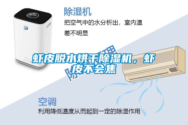 蝦皮脫水烘干除濕機，蝦皮不會焦