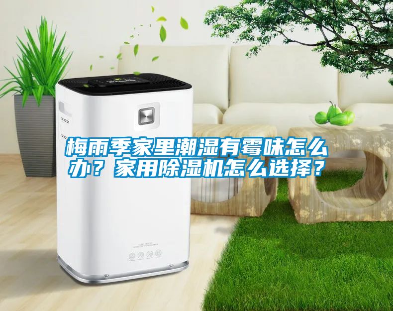 梅雨季家里潮濕有霉味怎么辦？家用除濕機(jī)怎么選擇？