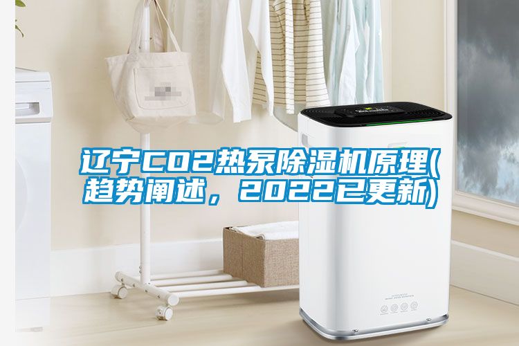 遼寧CO2熱泵除濕機原理(趨勢闡述，2022已更新)