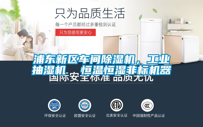 浦東新區(qū)車間除濕機，工業(yè)抽濕機  恒溫恒濕非標機器