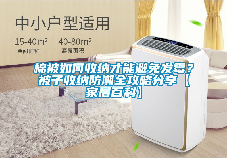 棉被如何收納才能避免發霉？被子收納防潮全攻略分享【家居百科】