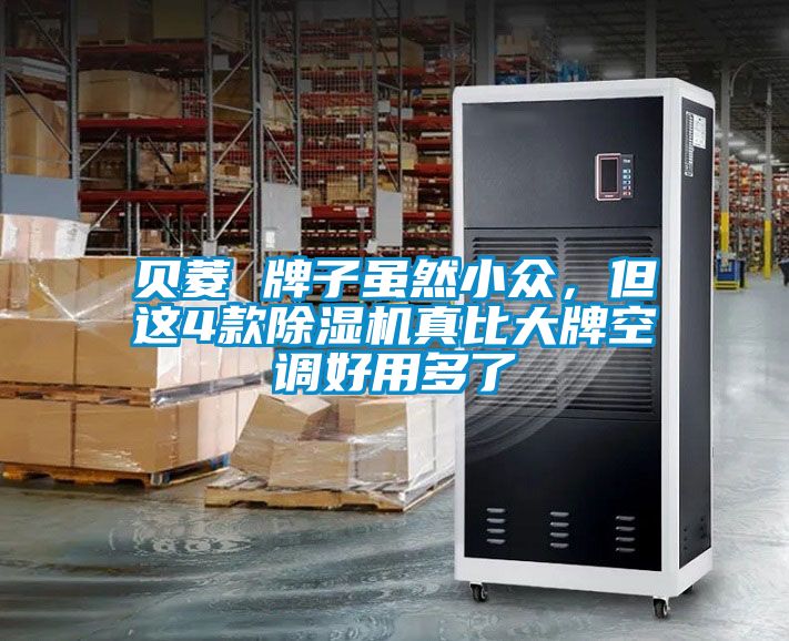 貝菱 牌子雖然小眾，但這4款除濕機真比大牌空調(diào)好用多了