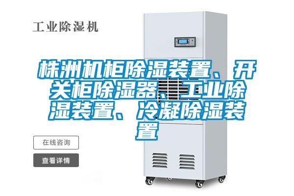 株洲機(jī)柜除濕裝置、開關(guān)柜除濕器、工業(yè)除濕裝置、冷凝除濕裝置