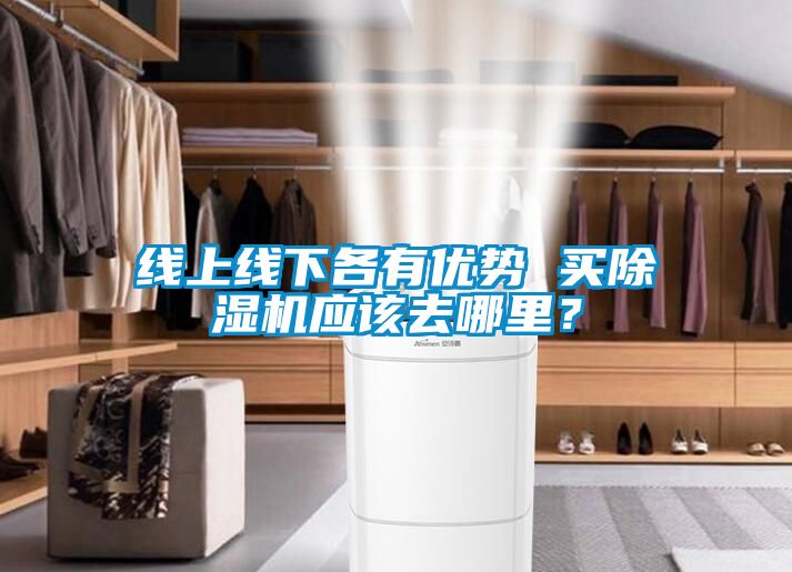 線上線下各有優(yōu)勢 買除濕機(jī)應(yīng)該去哪里？
