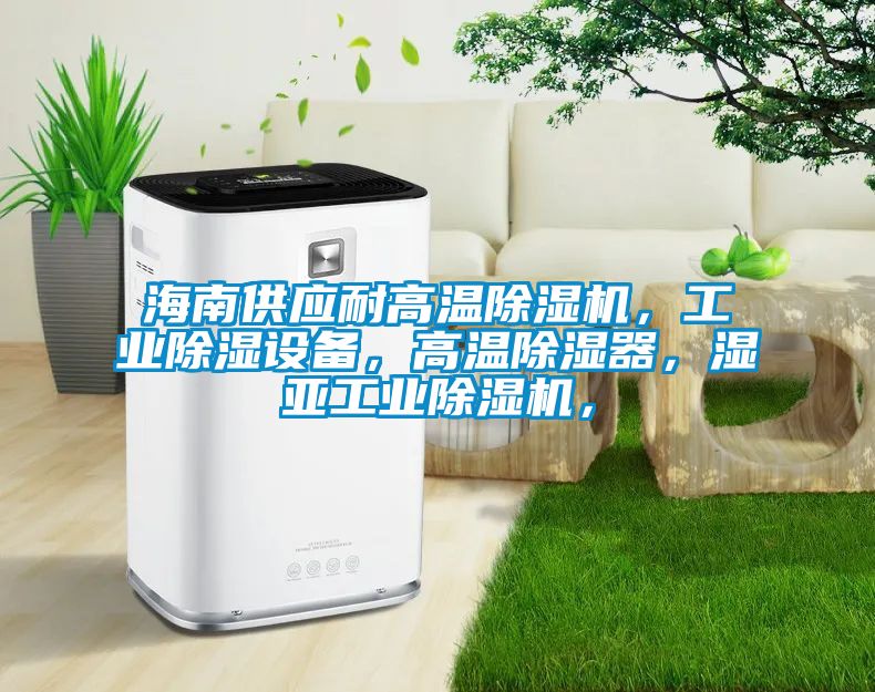 海南供應(yīng)耐高溫除濕機(jī)，工業(yè)除濕設(shè)備，高溫除濕器，濕亞工業(yè)除濕機(jī)，