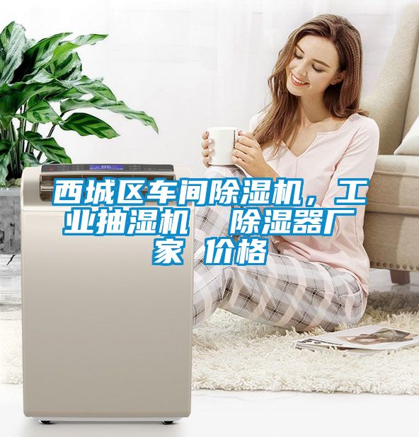 西城區車間除濕機，工業抽濕機  除濕器廠家 價格