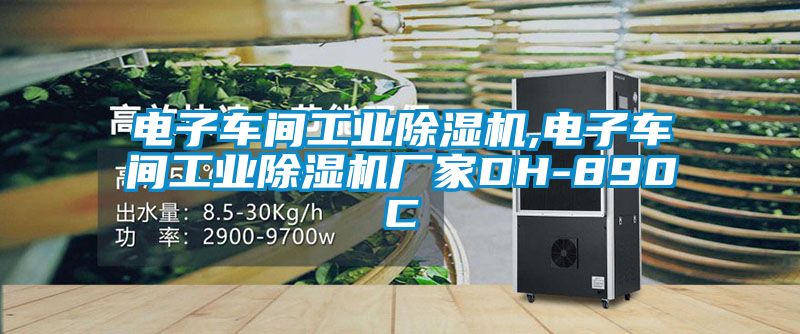 電子車(chē)間工業(yè)除濕機(jī),電子車(chē)間工業(yè)除濕機(jī)廠家DH-890C