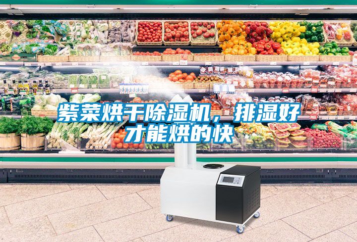 紫菜烘干除濕機(jī)，排濕好才能烘的快