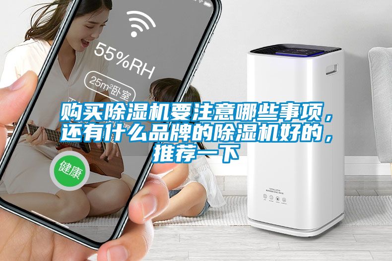 購買除濕機要注意哪些事項，還有什么品牌的除濕機好的，推薦一下
