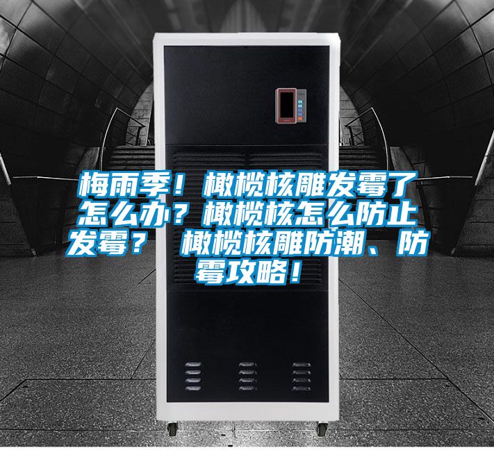 梅雨季！橄欖核雕發霉了怎么辦？橄欖核怎么防止發霉？ 橄欖核雕防潮、防霉攻略！