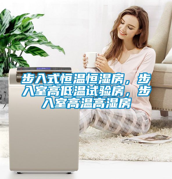 步入式恒溫恒濕房，步入室高低溫試驗(yàn)房，步入室高溫高濕房