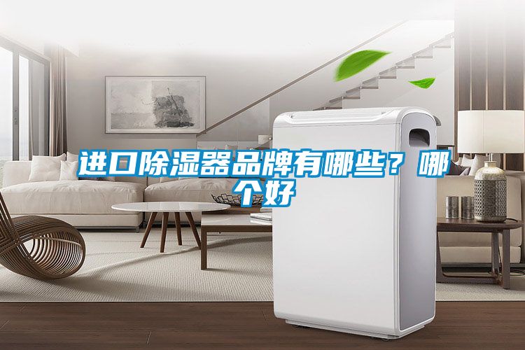 進口除濕器品牌有哪些？哪個好