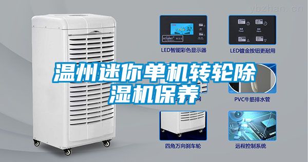溫州迷你單機轉輪除濕機保養