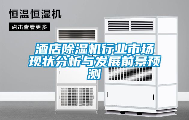 酒店除濕機行業市場現狀分析與發展前景預測