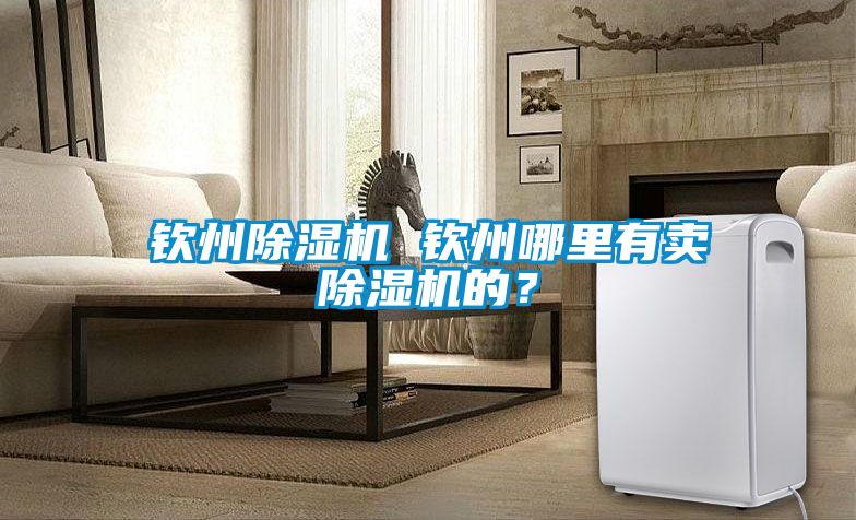 欽州除濕機 欽州哪里有賣除濕機的？