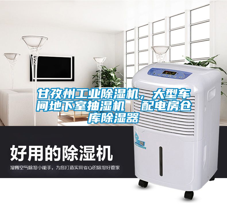 甘孜州工業除濕機，大型車間地下室抽濕機  配電房倉庫除濕器